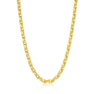 CHOW SANG SANG 999.9 24K Pure Gold Essence Anchor Chain Necklace for Women 45cm 95996N Price-by-Weight 15.72g Gold