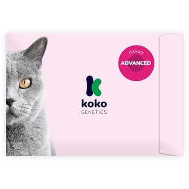 tellmeGen Koko Genetics Advanced DNA Test for Cats, Analyzes & Identifies 40+ Breeds, Family Tree, Offers 100+ Genetic Health and Traits Reports, Lifetime Updates Included