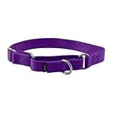 PetSafe Adjustable Martingale Collar - Only Tightens When Dogs Pull, Prevents Slipping Out - Helps with Strong Pullers, Increased Control - Alternative to Choke Collar - 3/4", Small, Deep Purple