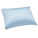 Focustree Microbead Throw Pillow Bedding Neck Pillows with Removable Cover, 16" x 12" Bed and Couch Decorative Pillow for Home Sofa Bedroom Fun Colors Support. Silky, Comfortable (Light Cyan)