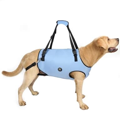 Coodeo Dog Lift Harness, Pet Support & Rehabilitation Sling Lift Adjustable Padded Breathable Straps for Old, Disabled, Joint Injuries, Arthritis, Loss of Stability Dogs Walk (Blue, M)