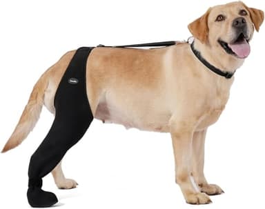 Dog Socks to Prevent Licking Paws ，Breathable Leg Sleeve to Stop Licking and Biting， Firm and Secure Adjustable Size Dog Recovery Sleeve Socks (XL-Right)