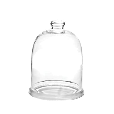 Park Designs Glass Bell Cloche 9.5”H | Decorative Clear Glass Dome for Home Decor | Elegant Display Cloche for Candles, Plants, Desserts, or Seasonal Arrangements | Rustic Farmhouse Table Accent