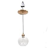 Worth Home Products Satin Brass Instant Pendant Light with 8" Clear Glass Globe Screw-in Recessed Light Conversion Kit for 4"-6" Cans | Stylish and Easy Ceiling Light Upgrade