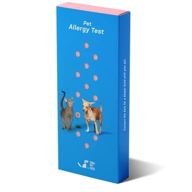 DNA MY DOG – Cat Allergy Test | Vet Recommended Test for Itchy, Sensitive Cats | Easy-to-Use Kit | Non-Invasive Cheek Swab not a Fur Test | Scientifically Valid | Includes Personalized Allergy Report