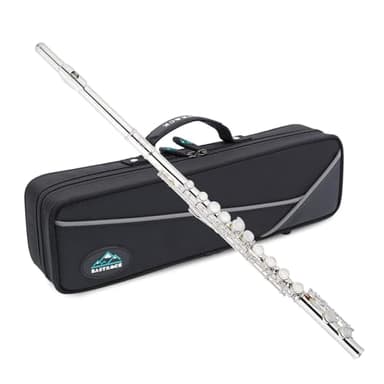 EastRock Closed Hole Flutes C 16 Key for Beginner, Kids, Student Silver Nickel Flute with Case Stand and Cleaning kit
