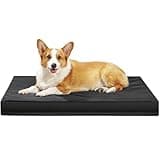 36×27 Inch Indestructible Dog Bed, Orthopedic Memory Foam Pet Bed with Waterproof & Washable 2520D Oxford Fabric, Non-Slip Bottom, Dog Crate Pad for Medium Large Dogs, Black