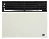 Ashley Hearth DVAG30N 25000 BTU Direct Vent Natural Gas Heater