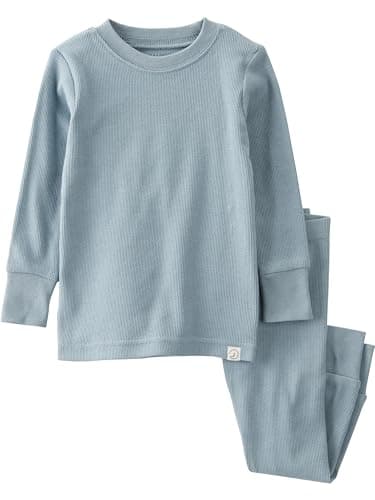 little planet by carter's unisex-baby Baby and Toddler 2-piece Pajamas made with Organic Cotton, Blue Creek, 18 Months