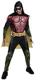 Rubies Men's DC Comics Batman: Arkham City Deluxe Muscle Chest Robin Adult Sized Costumes for Themed Parties and Halloween, Multicolor, Small US