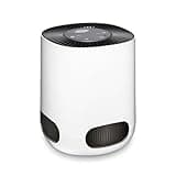 Clorox Air Purifiers for Bedroom Home, True HEPA Filter, Small Rooms Up to 200 Sq Ft, Removes 99.9% of Mold, Viruses, Wildfire Smoke, Allergens, Pet Allergies, Dust, AUTO Mode, Whisper Quiet