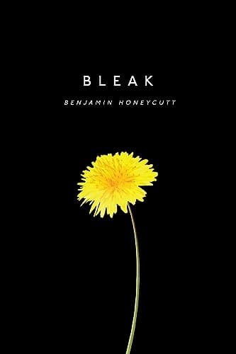 Bleak: A Story of Bullying, Rage, and Survival