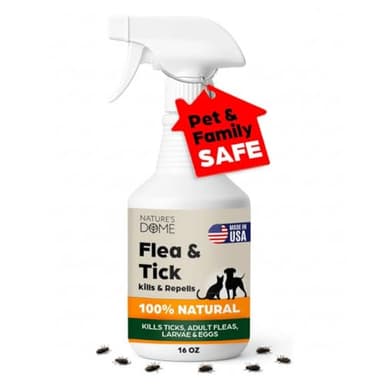 Our 10 Best Pet Safe Lawn Tick Control for 2026 [US] | OneClearWinner.com