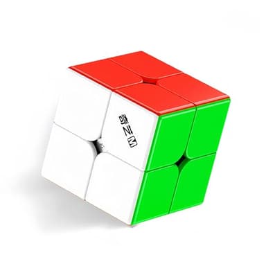 LiangCuber QY Toys Magnetic Speed Cube 2x2, Stickerless 50 mm High-Speed Cube 2x2x2 for Competitions & Training, Smooth & Fast Turning