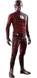 Hot Toys DC Comics The Flash (TV Series) TMS009 The Flash 1/6 Scale Collectible Figure
