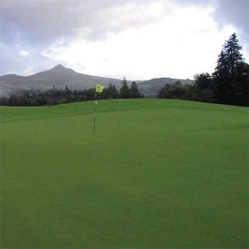 Penncross Creeping Bent Grass, 5 Pounds