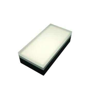 LUMENGY Paver Light 4x8 Inch (3.93x7.87), 5000K Daylight, Glare-Free Brick Lighting for Driveways, Walkways, Pool Decks and Patios, 12V Hardwired, IP67 Waterproof, Drive-Over Rated