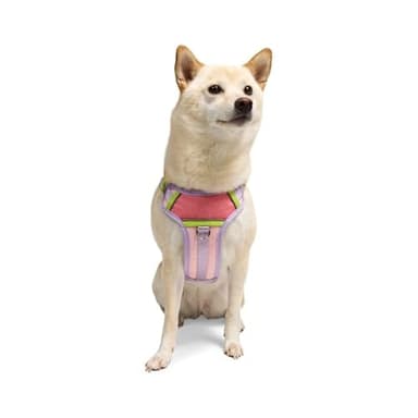 YOULY by Petco Adventure Reflective Dog Harness Pink Small