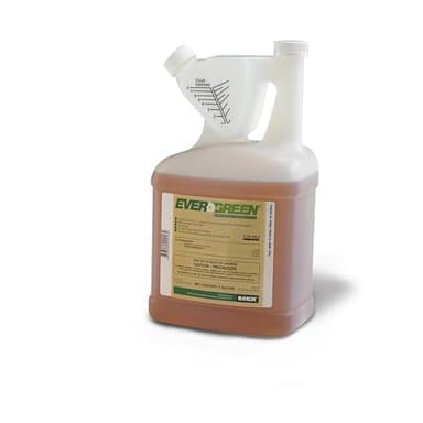MGK EverGreen® Pyrethrum Concentrate | OMRI Listed for Organic Production | Pyrethrin Insecticide Spray | For Indoor or Outdoor Applications | 1 Gallon
