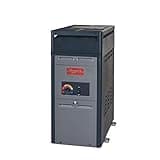 Raypak 105,000 BTU Swimming Pool and Spa Heater - Propane
