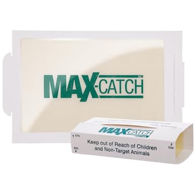Catchmaster Max-Catch Mouse & Insect Glue Trap 72PK, Mouse Traps Indoor for Home, Sticky Pest Control Adhesive Tray for Catching Bugs, Bulk Unscented Glue Boards