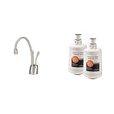 InSinkErator Contemporary Instant Hot and Cold Water Dispenser Faucet with Water Filter Cartridges