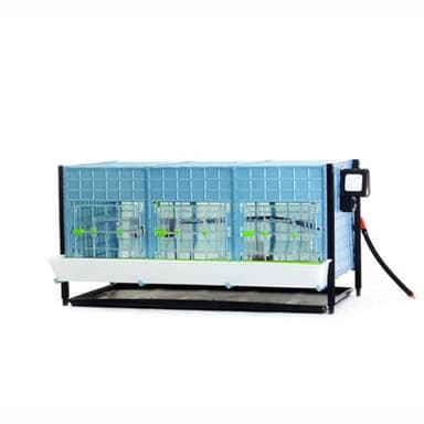 Hatching Time 15" Chick Brooders – Stackable & 2-Section Options, Automatic Heating, Easy-Clean Tray, Includes Feeders & Drinkers, Perfect for Quail, Chickens, Ducks & Baby Birds (Layer Addition)