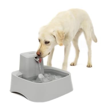 PetSafe Drinkwell Pet Fountain,Dog Water Bowl Dispenser for Cat and Dogs, Plastic, Adjustable Flow Control, Easy to Clean Design,Grey, 2 Gallon/256 oz