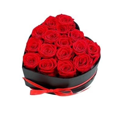 Qutawua Preserved Roses Heart Shape Box Valentines Day Gifts for Her Mothers Day Forever Flowers (Red, 16 Roses)