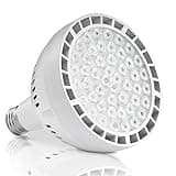 HYMIOR LED Pool Light Bulb 80W, Inground Swimming Pool 6500K (80W)