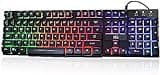 Rii RK100+ Multiple Color Rainbow LED Backlit Large Size USB Wired Mechanical Feeling Multimedia PC Gaming Keyboard,Office Keyboard for Working or Primer Gaming,Office Device