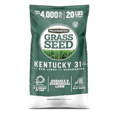 Pennington Kentucky 31 Tall Fescue Grass Seed 20 lb