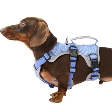 Huntboo Escape Proof Dog Harness, Escape Artist Harness, Reflective Dog Harness with Handle, Durable,Adjustable Vest for Small Medium Large Dogs Walking, Training, and Running Gear(Technicolor Blue,S)
