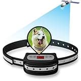 Blingbling Petsfun Electric GPS Wireless Dog Fence System, Pet Containment System with Waterproof and Rechargeable Training Collar Receiver for Dogs Pets Container Boundary (Black)