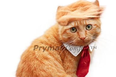 Prymal Comfort Cat Costume for Halloween, Parties and Pictures