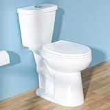 HOMLYLINK Tall Toilet 19 Inch for Seniors, ADA High Toilets, Comfort Bowl Heigh 19", Seat Height 20", Two-Piece Dual Flush 1.1/1.6 GPF, 12 Inch Rough-in, White Color, for Small Bathroom