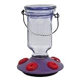 Perky-Pet 9101-2 Lavender Field Top-Fill Glass Hummingbird Feeder Purple 16 oz Capacity