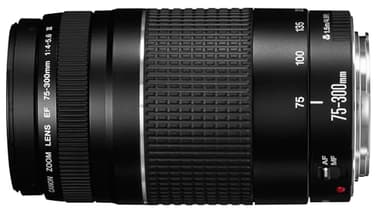 Canon EF 75-300mm f/4-5.6 III Telephoto Zoom Lens (Black)