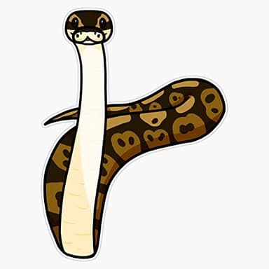 Ball Python Scoping Vinyl Window Bumper Sticker Decal 5"
