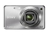 Sony Cyber-shot DSC-W290 12.1 MP Digital Camera with 5x Optical Zoom and Super Steady Shot Image Stabilization (Silver)