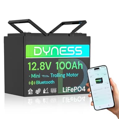 Dyness 12V 100Ah LiFePO4 Lithium Battery with Bluetooth, Group 24,Max.1280Wh Energy, Built-in 100A BMS with Low-Temp Protection, Perfect for Trolling Motor RV,Boat, Solar System