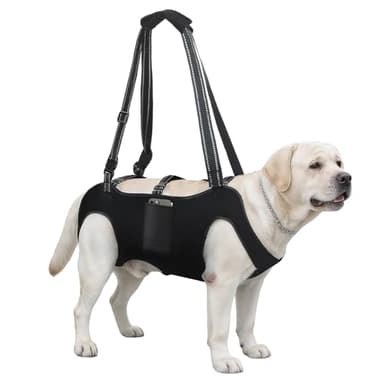 INKNOTE Dog Lift Harness with Pocket Full Body Dog Harness with Adjustable Handle Dog Carrying Sling Pet Legs Support Sling for Senior Dogs Joint Injuries Post Surgery Recovery Hiking,Black,XL