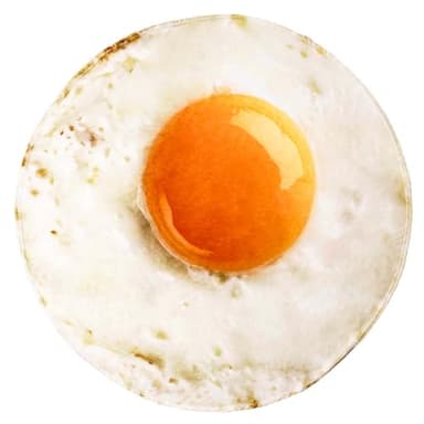 Vessia Giant Fried Egg Blanket, Realistic Funny Food Blanket for Adults and Kids, 300GSM Giant Soft Egg Throw for Couch, Sofa, Bed, Fun Round Home Decor for All Seasons, 60 inches