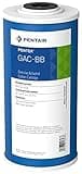 Pentair Pentek GAC-BB Big Blue Carbon Water Filter, 10-Inch, Whole House Heavy Duty Granular Activated Carbon (GAC) Replacement Cartridge, 10" x 4.5"