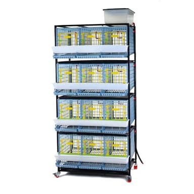 Chicken Cage - 4 Layer H: 15" (Power-Washable, Durable, PP Plastic (Polypropylene) | Hatching Time