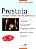 Prostata. Probleme erkennen und behandeln