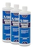 Rx Clear Phosphate Remover | Eliminates Phosphates Caused by Swimming Pool or Spa Chemicals, Fertilizers, and Other Sources | One Quart Bottles | 3 Pack