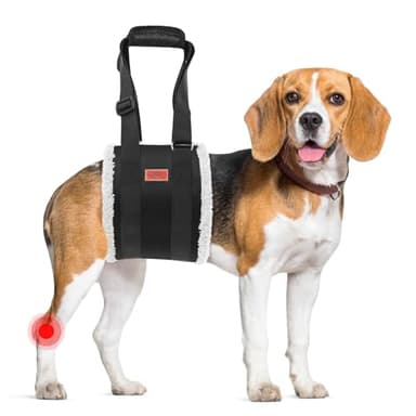 Adjustable Dog Lift Harness, Dog Sling for Large Dogs Lift Support and Rehab Harness for Weak Rear Legs, Soft Hind Leg Support Helps Senior, Injured, Disabled and After ACL Surgery Dogs(Black,Medium)