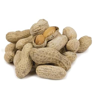 Obelys In-Shell Peanuts - Jumbo Nutty Delight | Roasted and Salted Nuts - 2 Pounds | Wholesome Snack (2 Pounds)