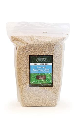 Annual RyeGrass Seed by Eretz - Willamette Valley, Oregon Grown. No fillers, No Weed or Other Crop Seeds (3lb)